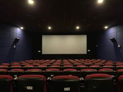 -大地影院(上海南汇店)