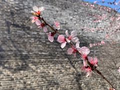 -北京明城墙遗址公园