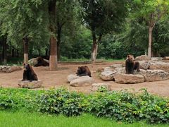 -北京野生动物园