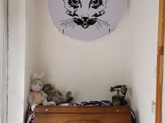 -猫色咖啡·猫咖
