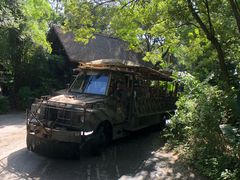 -奥兰多迪士尼动物王国乐园