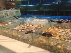 -川骄海鲜自助(亚运村店)