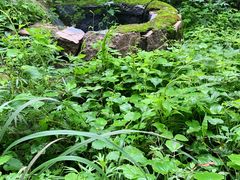 -碓臼峪自然风景区