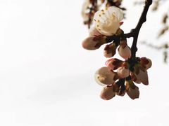 -同福农家菜(霞云岭国家森林公园店)