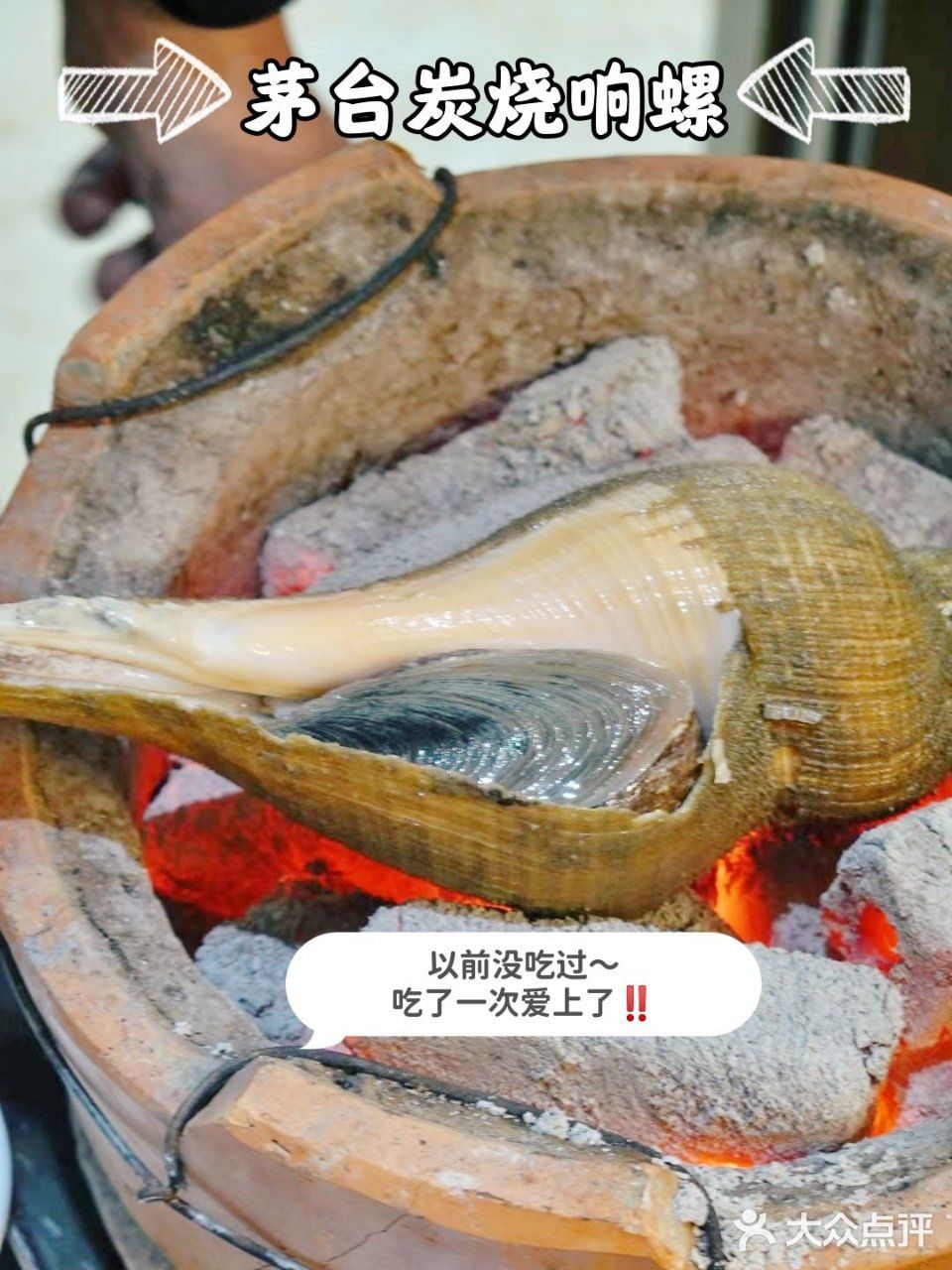 上海爆火打边炉❗️黑金鲍老鸭煲天花板藏不住啦💗 