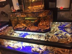-蟹道乐(網元別館店)