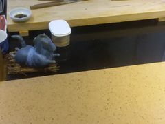 -达摩君日本料理(泰海花园小区店)