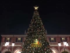 -星海音乐学院(沙河校区)