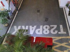 -T28PARK公园里