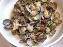 辣炒小蛤-映像威海·威海宴(威高广场店)