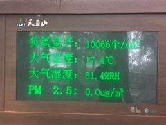 -天目山大树王景区