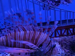 -太平洋海底世界