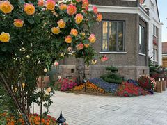 -天津五大道文化旅游区