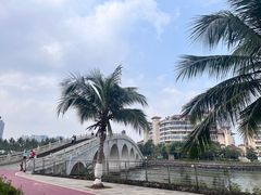 -万绿园