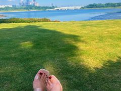 -深圳人才公园