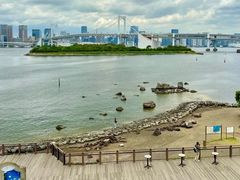 -台场海滨公园船码头