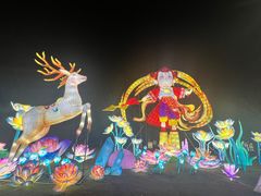 -武汉园博园(武汉自然博物馆)