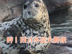 -海合安成都极地海洋公园