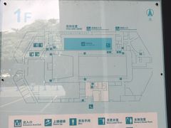 -天河体育中心游泳馆