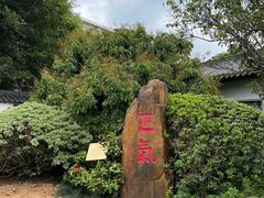-广州神农草堂中医药博物馆