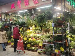 -大自然花鸟鱼虫市场