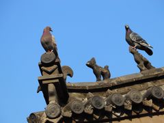 -洛阳白马寺