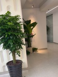 -魔型社烫染店