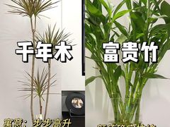 -居丽装饰空间设计(总部)