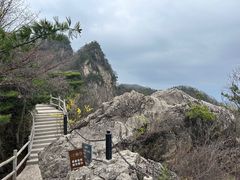 -王顺山国家森林公园
