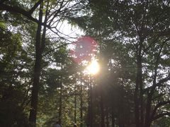 -九华山风景区月身宝殿