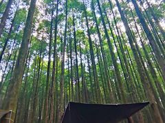 -山王坪喀斯特国家生态公园