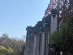 -音乐台