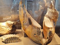 -丁村民俗博物馆