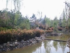 android_upload_pic-孔子研究院