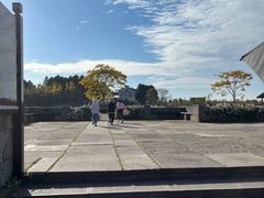 -宁波杭州湾国家湿地公园