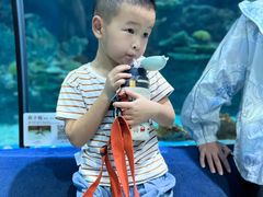 -福州罗源湾海洋世界旅游区