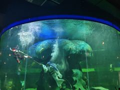 -龙谷湾旅游休闲度假区