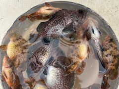 -那香海钻石沙滩浴场