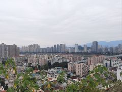 -福道