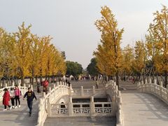 -晋祠公园