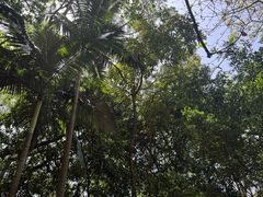 -九龙公园