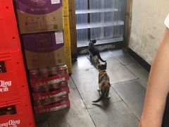 -渝嘴小老弟老火锅(华新村店)