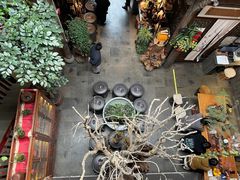 -普洱茶府(博乐广场店)