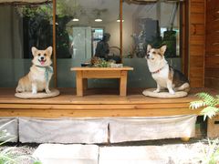 -边渡咖啡烘焙店(昙华林店)