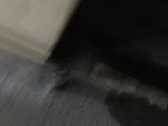-荔湾博物馆