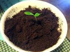 朵朵开素食餐厅(后宰门街店)-朵朵开素食餐厅(后宰门街店)