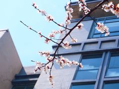 -江南大学(蠡湖校区)