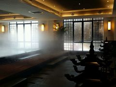 android_upload_pic-东方华地城湿地温泉度假区
