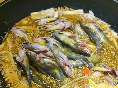 -小小河边鱼(天润城店)