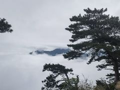-含鄱口